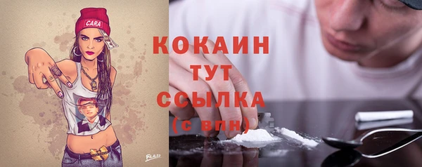 прущий лед Алзамай