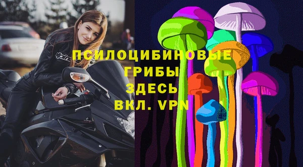 прущий лед Алзамай