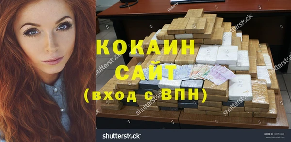 прущий лед Алзамай