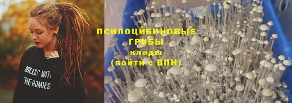 ГАЛЛЮЦИНОГЕННЫЕ ГРИБЫ Алексеевка