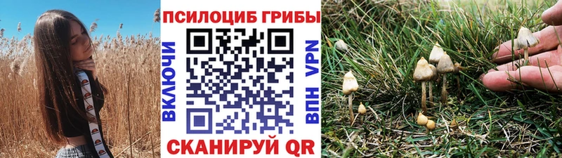 Псилоцибиновые грибы Psilocybine cubensis  Алушта 