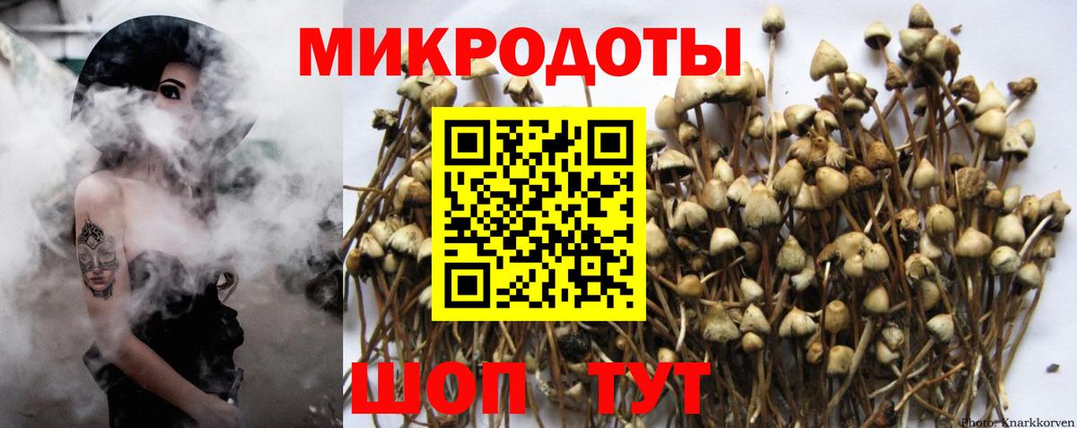 Алушта  Галлюциногенные грибы Magic Shrooms  Вход с VPN 